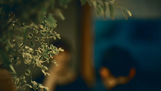 Arbre